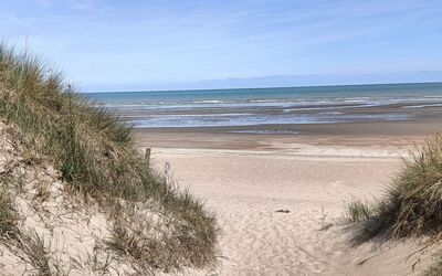 Image du projet AME des CM2 des Dunes d'Oye