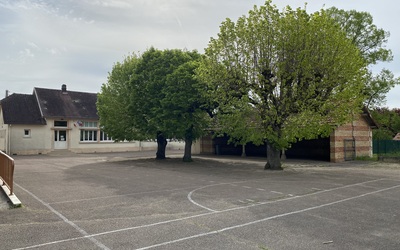 Image du projet Mise en place d'une Aire terrestre éducative à Brévonnes 