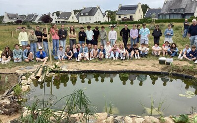 Image du projet Biodiversité de la mare à Ti Kuzhet - SFND Lesneven