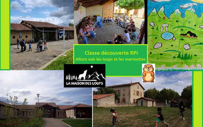 Image du projet Allons voir les loups et les marmottes !