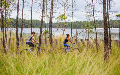 Image du projet Stage de révision DNB en pleine nature