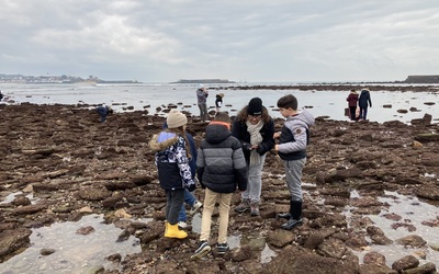 Image du projet AME Flots Bleus Urdazuri St Jean de Luz