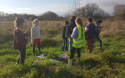 Image du projet Découverte de la biodiversité des marais à Pont l'Abbé d'Arnoult