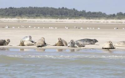 Image du projet DE VEZOUZE EN BAIE DE SOMME, UN PAS DE GÉANT