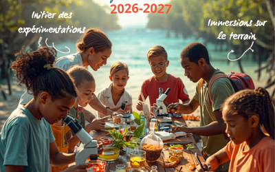 Image du projet De la Plante au Produit