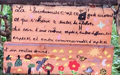 Image du projet Le jardin du paradis