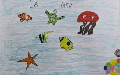 Image du projet Classe de mer pour les enfants de La Gravette - Carcassonne