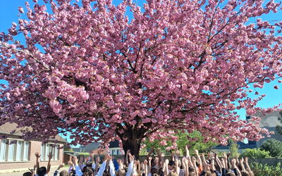 Image du projet Les châteaux de la Renaissance : Chambord et Blois