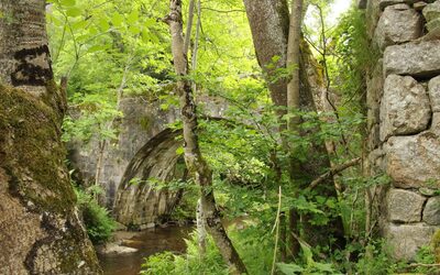 Image du projet Les CM de Tarentaize à Apinac