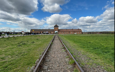 Image du projet Devoir de mémoire - Pologne 2026