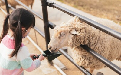 Image du projet Séjour à la ferme 