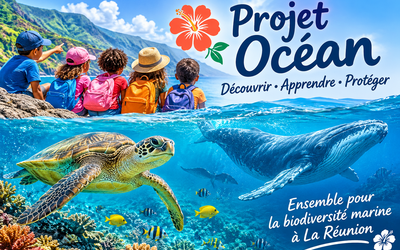 Image du projet Les CP de Pablo Picasso partent en Classe de Mer !