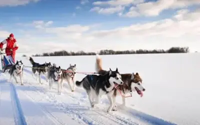 Image du projet Les CM1 et les CM1/CM2 de Cuers partent à la montagne pour leur projet Grand Nord