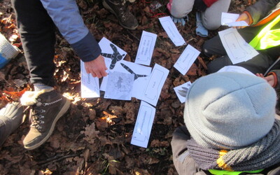 Image du projet ATE forêt - Ecole de St Loup sur Aujon et Parc National de Forêts