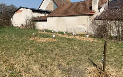 Image du projet Une aire d'éducation à la biodiversité gérée par les CM du Neuhof 