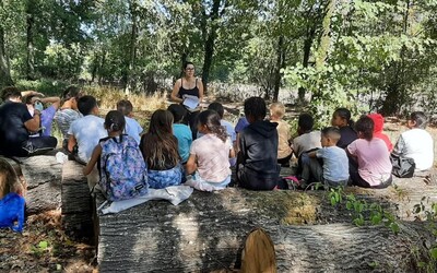 Image du projet ATE de la Forêt du Domaine de la Verrerie