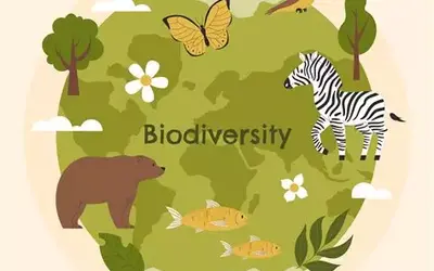 Image du projet Les enquêteurs en herbe: à la recherche de la biodiversité