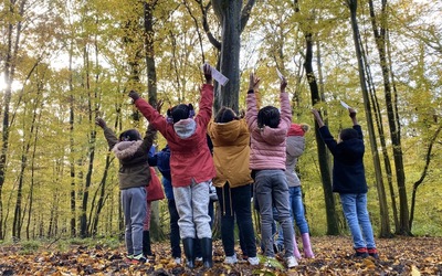 Image du projet A la découverte de la Sologne !