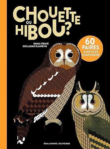 CHOUETTE OU HIBOU ? Relié – Illustré, 15 octobre 2015