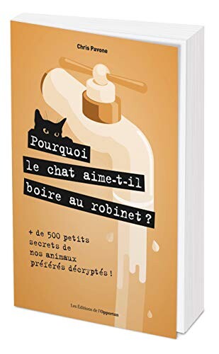 Pourquoi le chat aime-t-il boire au robinet ?