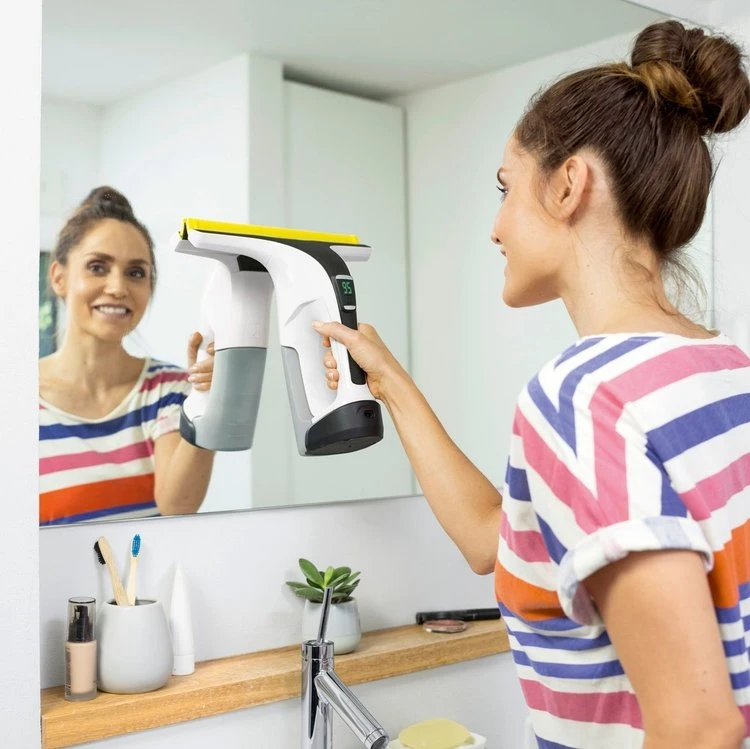 Nettoyeur de Vitres WV 6 Plus