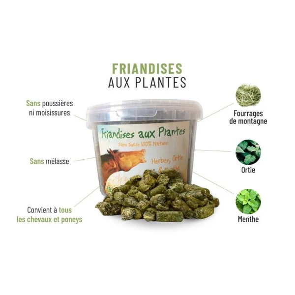 Friandises cheval aux plantes, 100% naturelles, sans sucres ajoutés, sans céréales