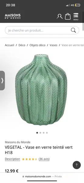 Vase en verre teinté vert H18 VEGETAL | Maisons du Monde