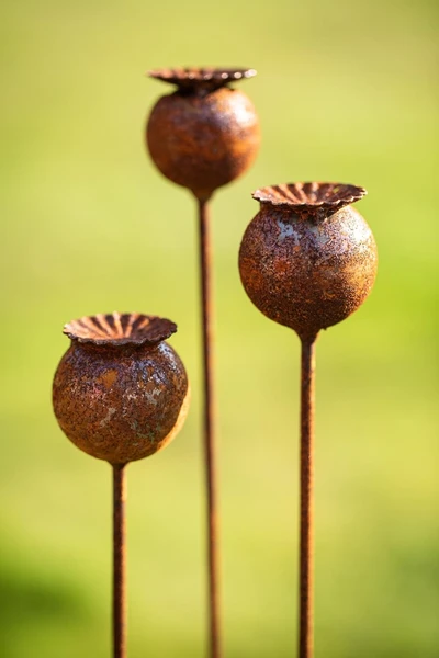 Lot de 3 piquets de jardin en métal rouillé - Décoration de jardin - Tuteur de parterre - Rouille naturelle (capsule de coquelicot) : Amazon.com.be: Jardin