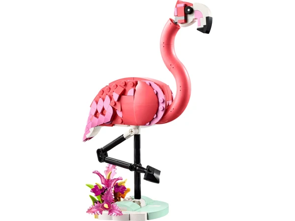 Animaux sauvages : le flamant rose 31170 | Creator 3-en-1 | Boutique LEGO® officielle FR