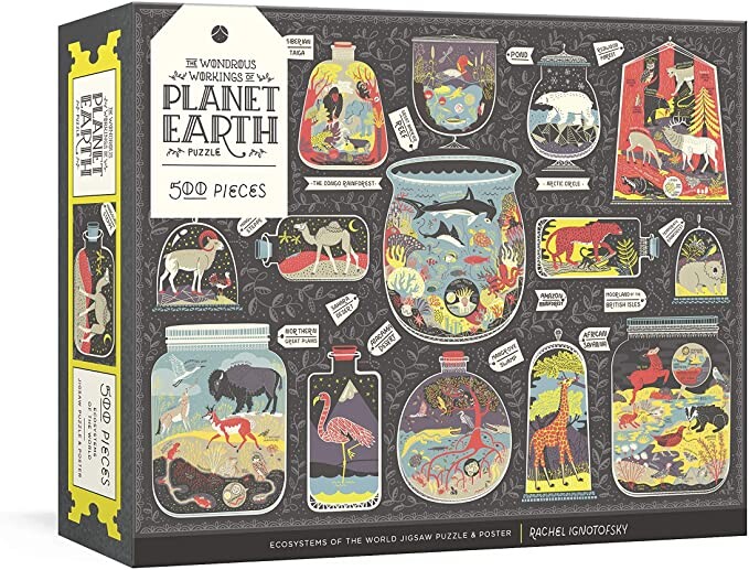 The Wondrous Workings of Planet Earth Puzzle: Ecosystems of the World 500-Piece Jigsaw Puzzle and Poster: Ignotofsky, Rachel: Amazon.fr: Jeux et Jouets