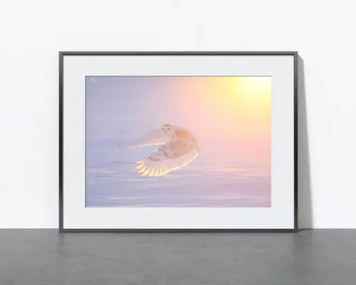 Tirage 'Lumière d’hiver'