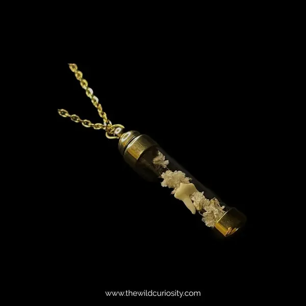 Fox tooth & Gypsophila Pendant | Valentine’s Day | Vintage Style Necklace | Handmade Jewellery | Personalised Gifts | Dried Flowers