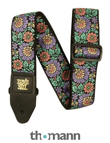 Ernie Ball 