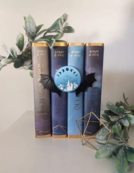 Décoration bibliothèque thème acotar