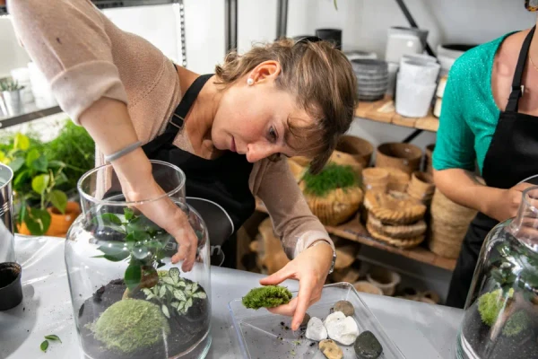 Créez votre terrarium à votre image
