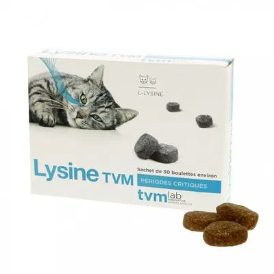 Complément alimentaire pour chat