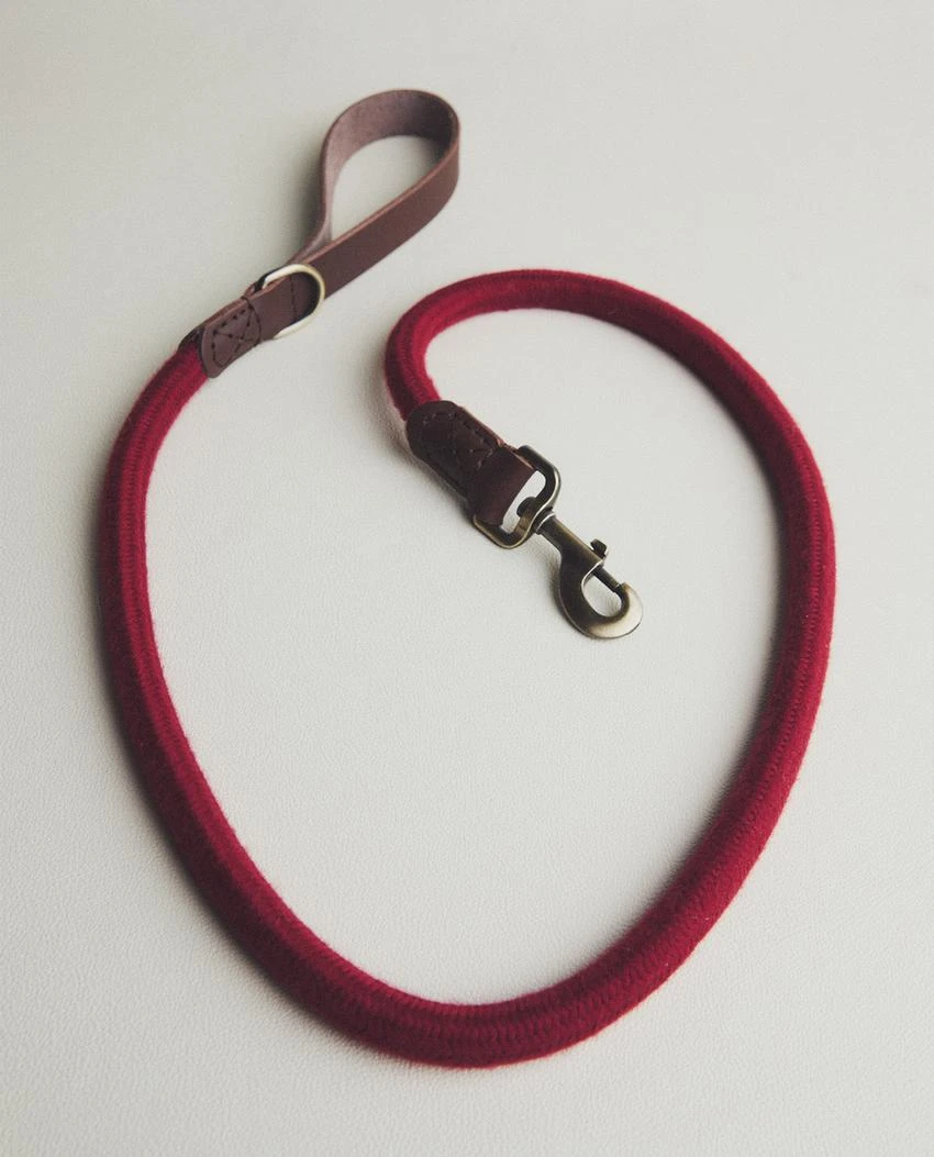 LAISSE CORDE CUIR CHIENS | Zara Home France