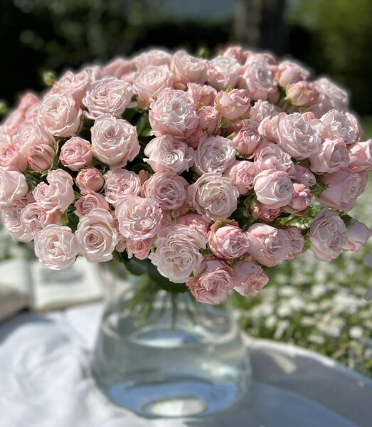 Livraison de bouquets de roses
