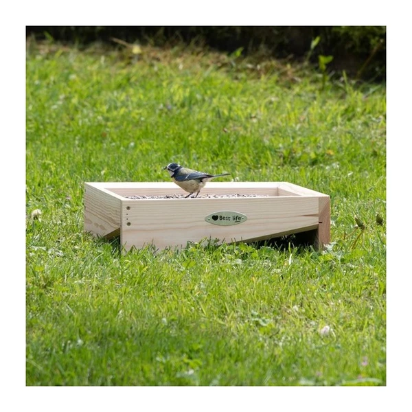 Plateau de nourrissage Riga