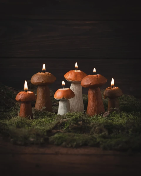 Bougies aux champignons, décoration de champignons, décoration d'automne, décoration d'intérieur, bougies de cire d'abeille, cadeau pour maman, cadeau pour ami, bougie forestière