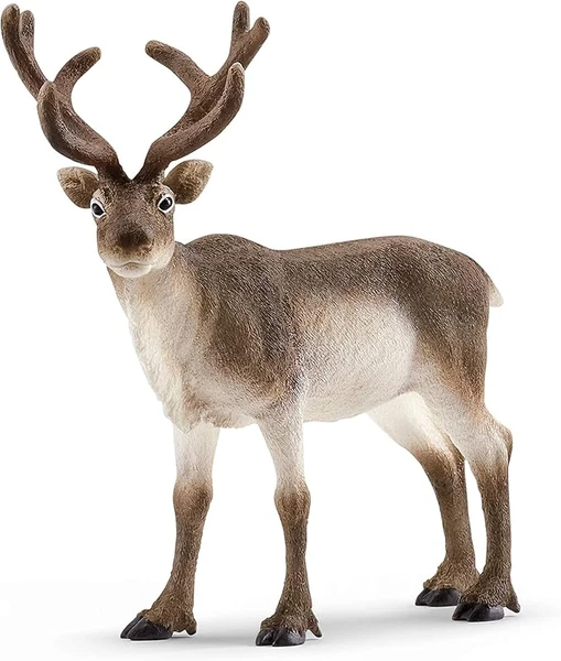 Schleich- Figurine Renne Wild Life