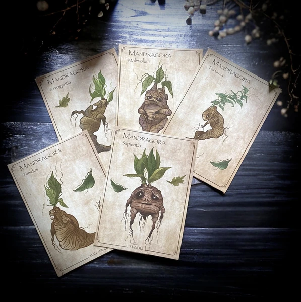 Mandragora. Carte imprimée A6. Dessin original