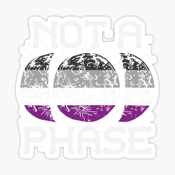 Asexual Pride Moon Not A Phase Funny Ace Flag Lgbtq | Sticker