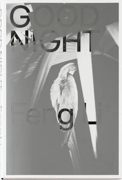 Feng Li : Good Night
