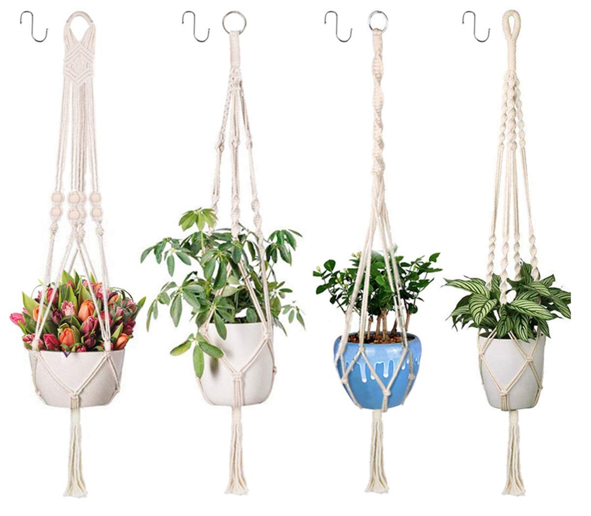 Suspensions plantes