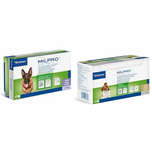 Milpro chien