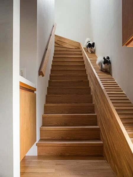 rampes futur escalier 