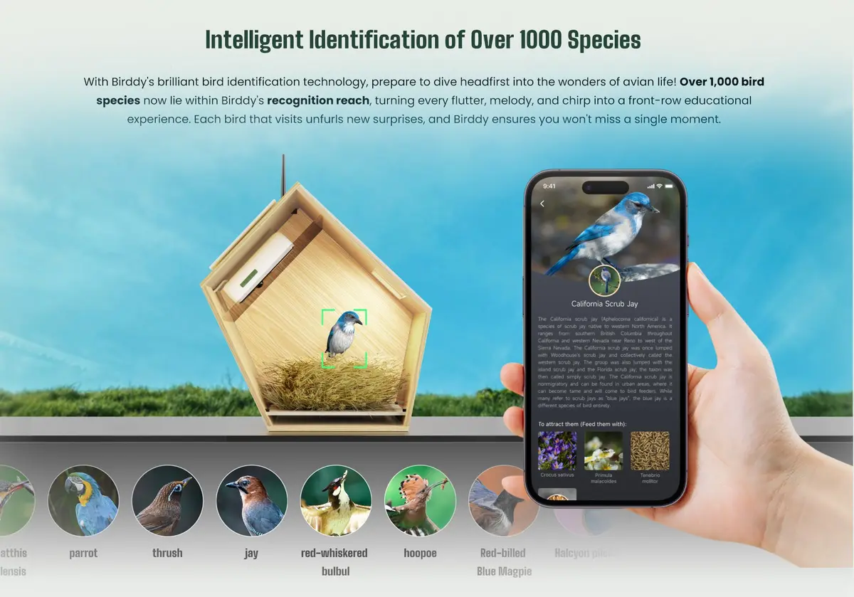 Birddy Smart Bird House: A Breakthrough in Avian Observation