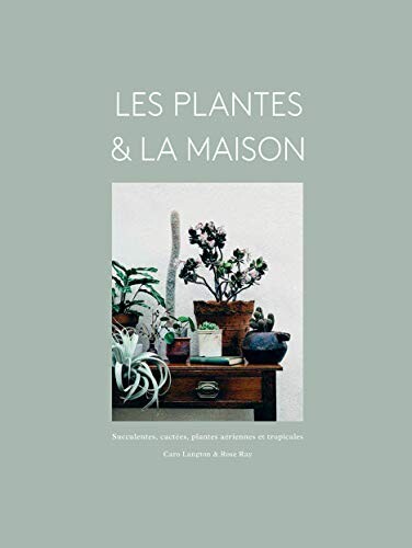 Les plantes &amp; la maison : Succulentes, cactées, plantes aériennes et tropicales
