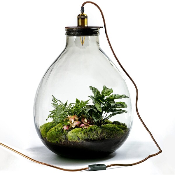 Jungle Lab by Capsule